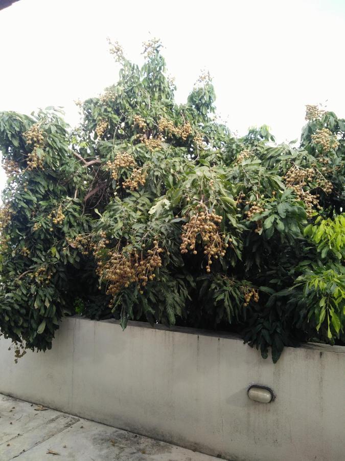 Baba pim villa Chiang Mai Dış mekan fotoğraf
